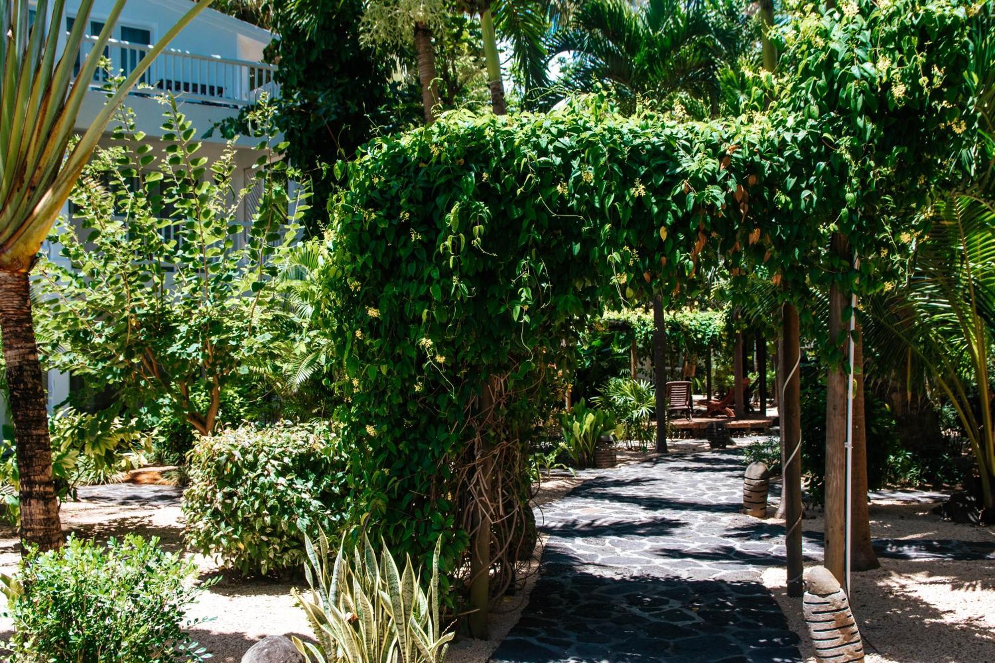 Hotel Hibiscus Boutique 3*